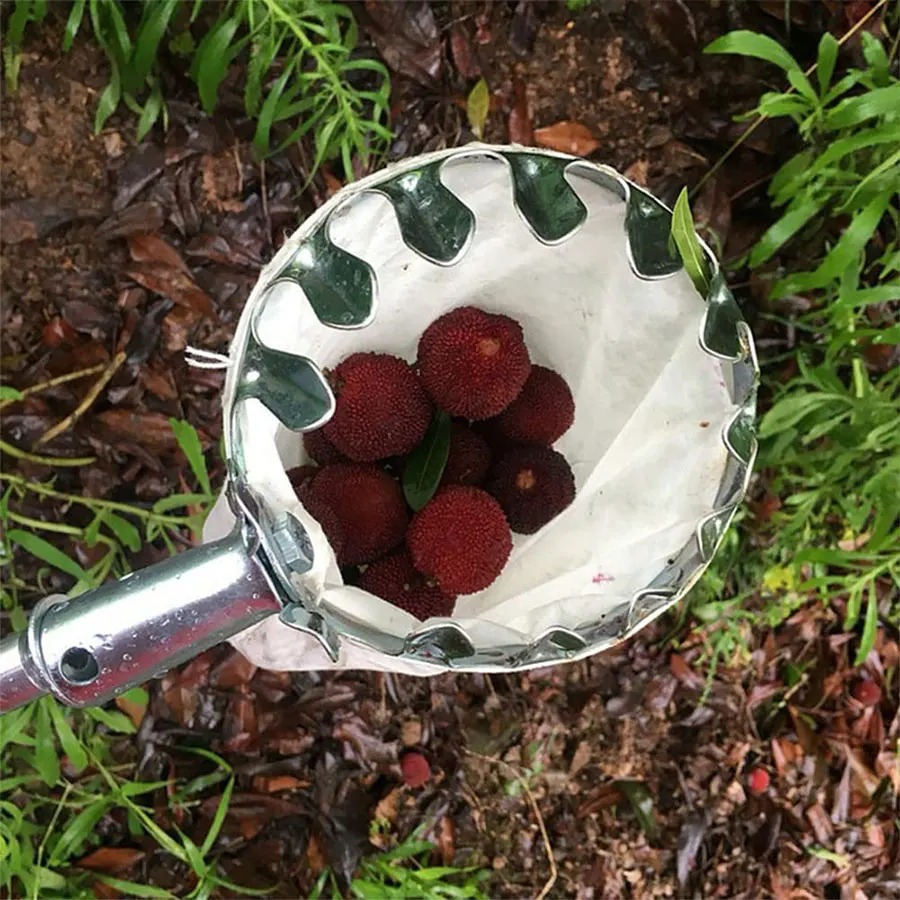 Gardening Tools Basket - Sağlam Meyve Toplama Sepeti, Yüksek Dallardan