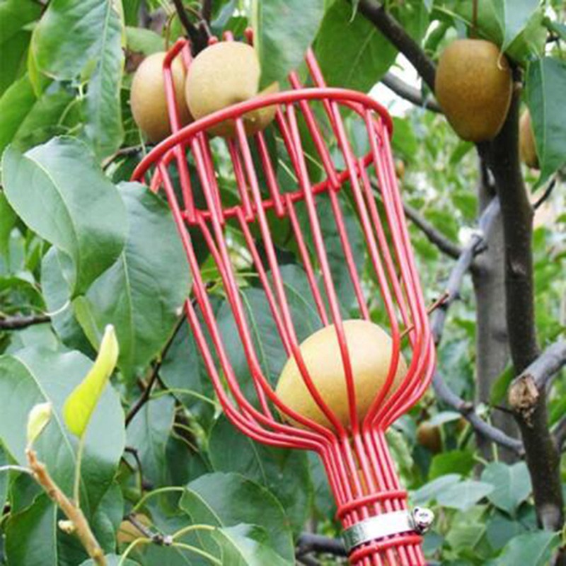 Gardening Tools Basket - Derin Sepetli Meyve Toplama Başlığı Taşınabilir
