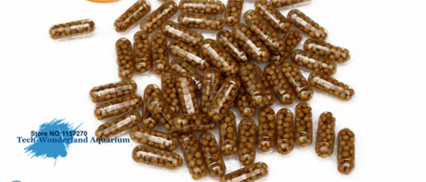 Aquaponics Fish Tank - Su Tesisi Akvaryum Balık Tankı Su