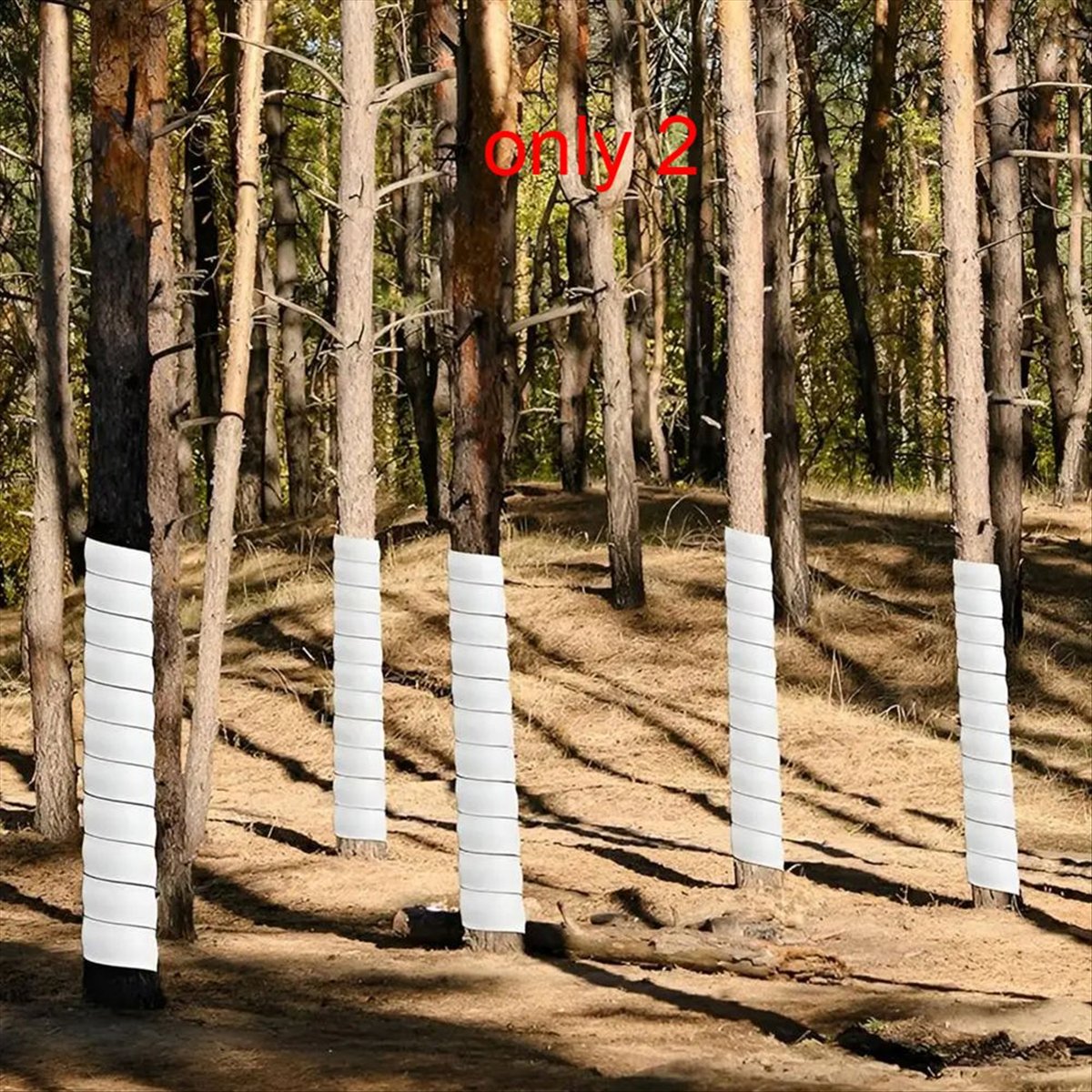 A75K Bitki Gövde Koruyucu Hava - Gardening Tools B&Q incelemesi ve fiyatı