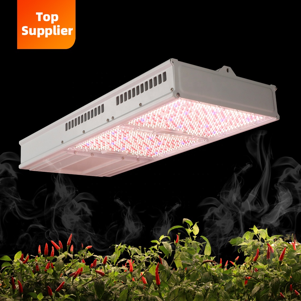 Uygun Maliyetli 600W 800W Topl - Led Grow Light incelemesi ve fiyatı