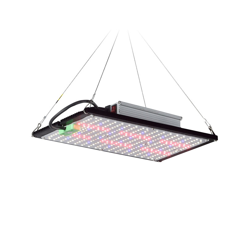 LED Kuantum Panel Bitki Yetişt - Led Grow Light incelemesi ve fiyatı