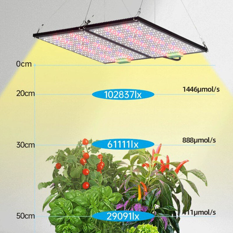 LED Kuantum Panel Bitki Yetişt - Led Grow Light incelemesi ve fiyatı