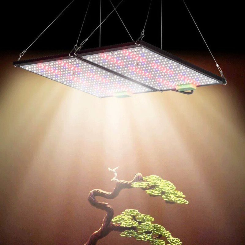 LED Kuantum Panel Bitki Yetişt - Led Grow Light incelemesi ve fiyatı