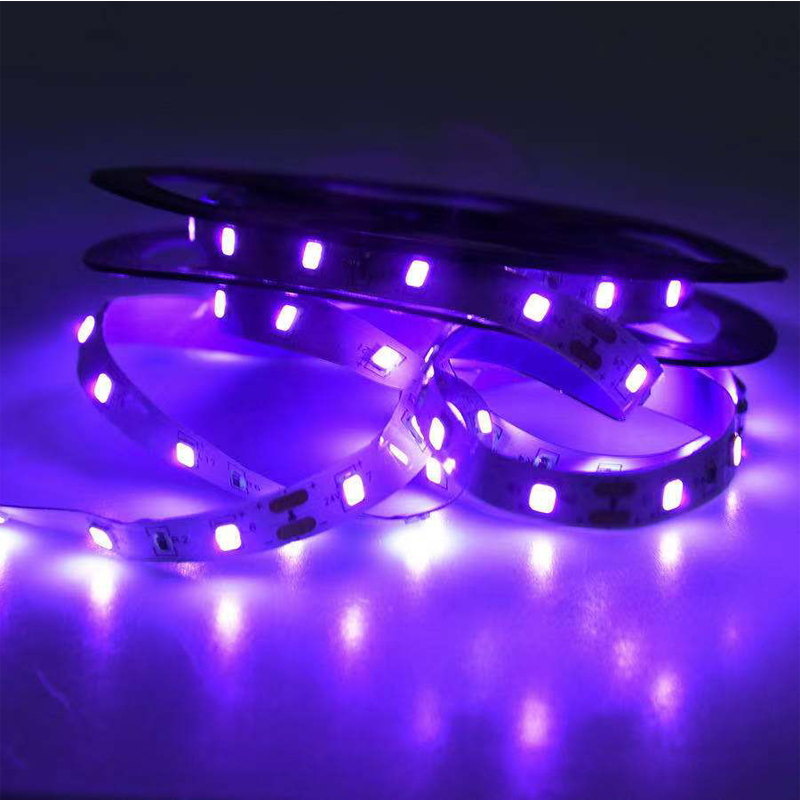 UV LED Ultraviyole Işık, Siyah - Led Grow Light incelemesi ve fiyatı