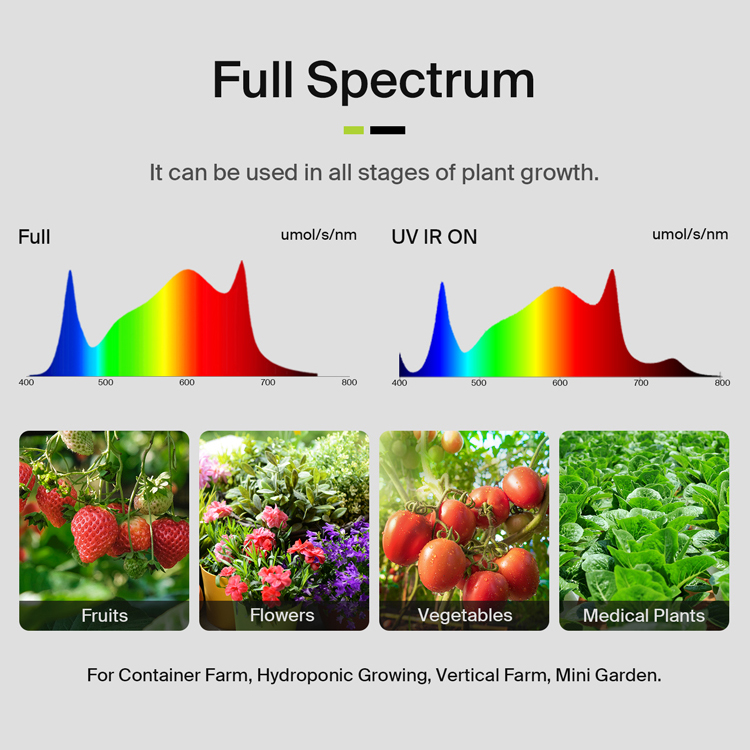 3,75 Lbs'ye kadar verim sağlay - Led Grow Light incelemesi ve fiyatı