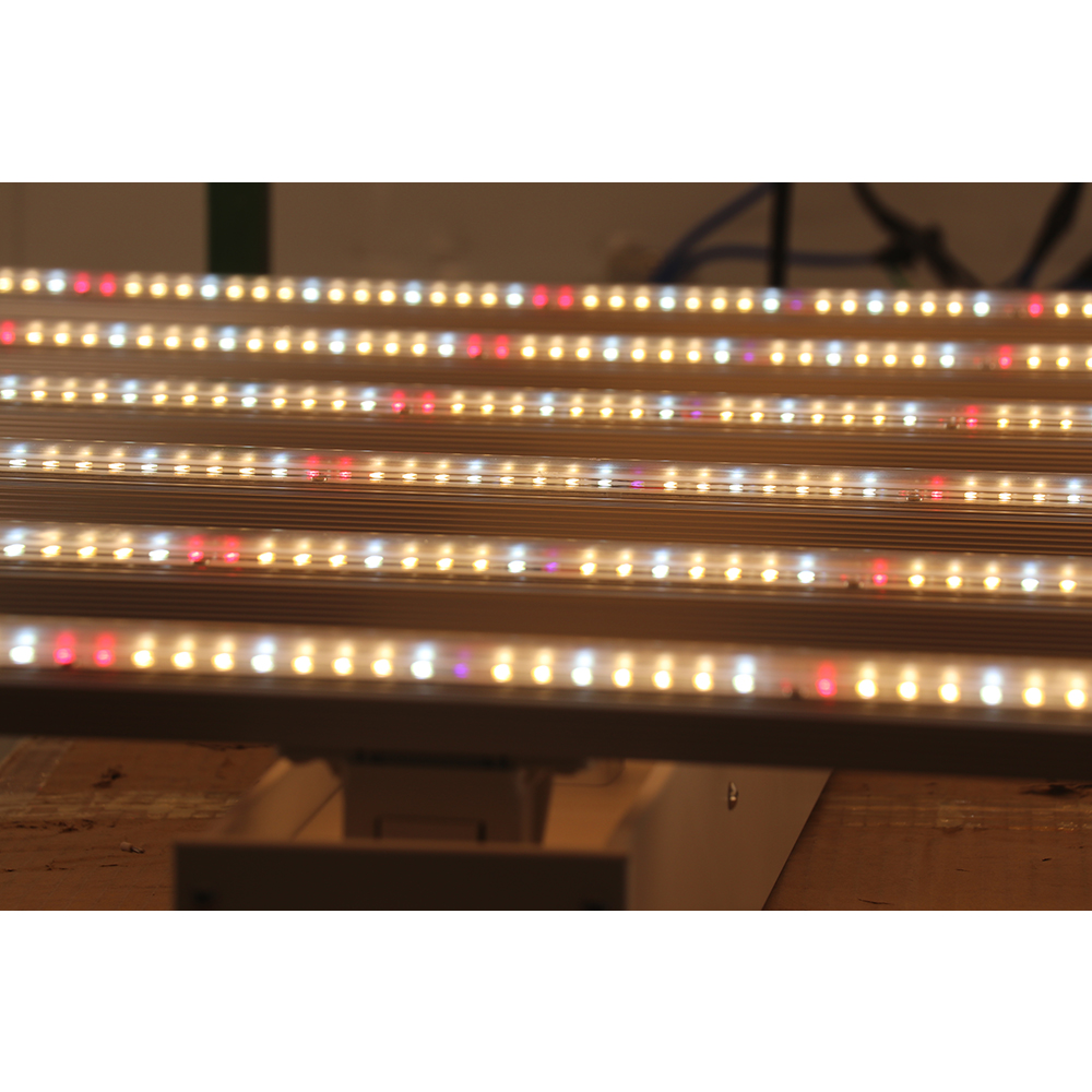 2023 Fabrika Direkt Satış 600w - Led Grow Light incelemesi ve fiyatı