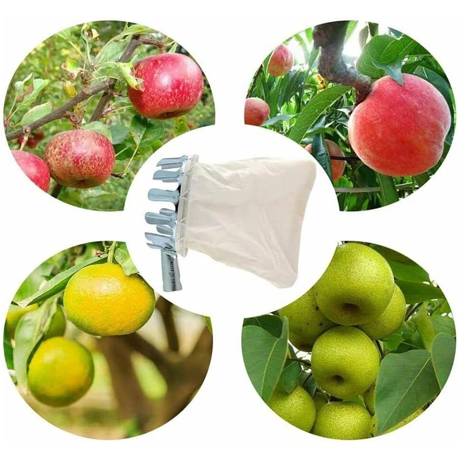 Sağlam Meyve Toplama Sepeti, Y - Gardening Tools Basket incelemesi ve fiyatı