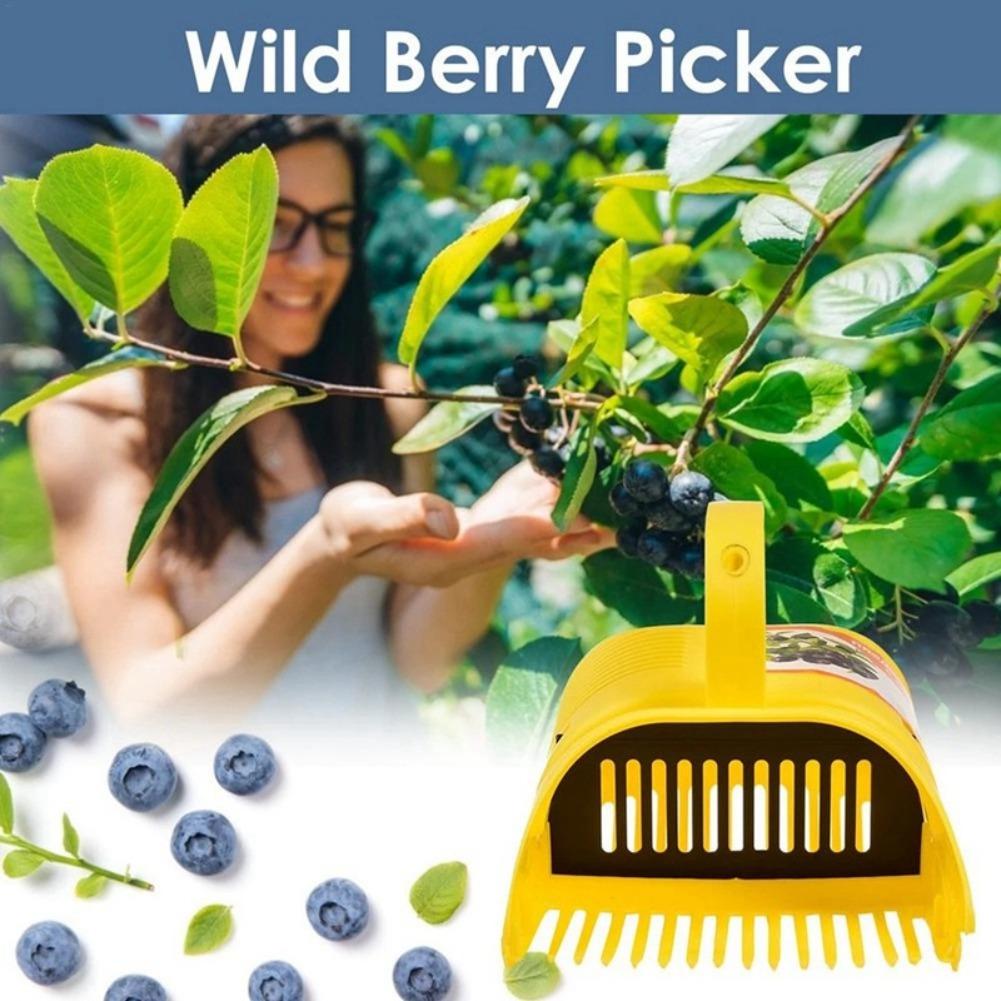 Taşınabilir Yaban Mersini Topl - Gardening Tools Basket incelemesi ve fiyatı