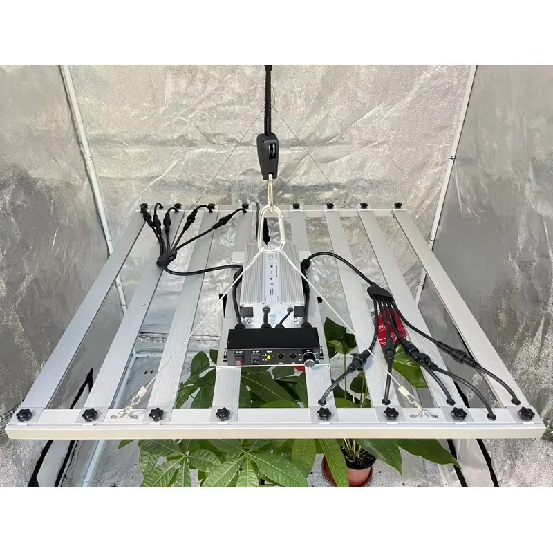 600W Büyütme Lambası Sürücüsü  - Led Grow Light incelemesi ve fiyatı