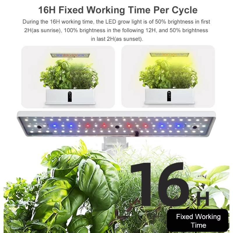 9 Bölmeli Akıllı Hidroponik Ye - Led Grow Light incelemesi ve fiyatı
