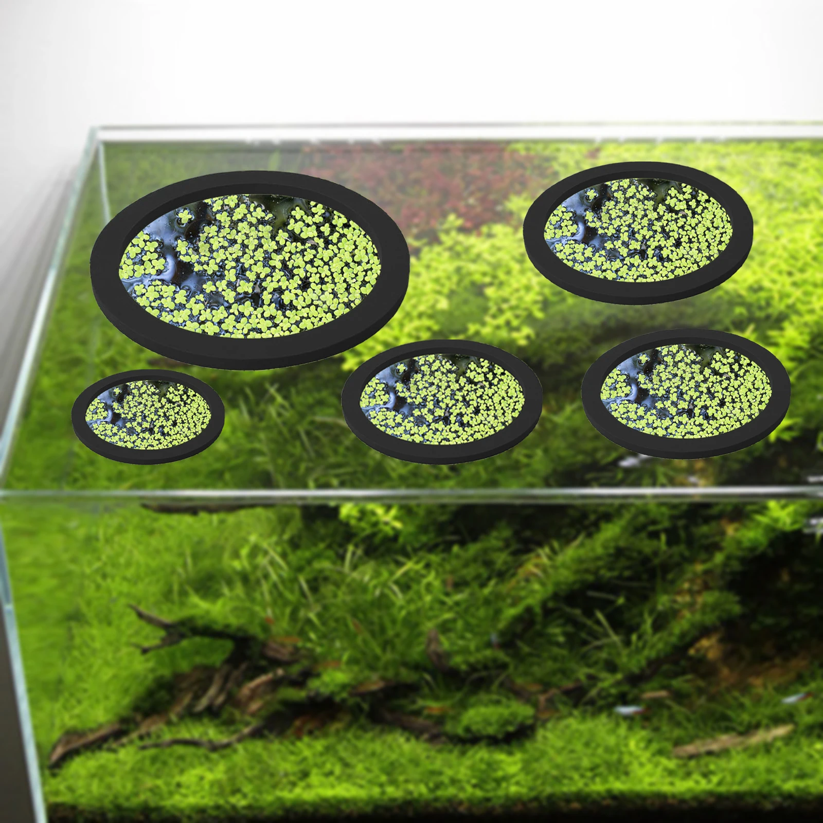 5 adet EVA balık besleme halka - Aquaponics Fish Tank incelemesi ve fiyatı