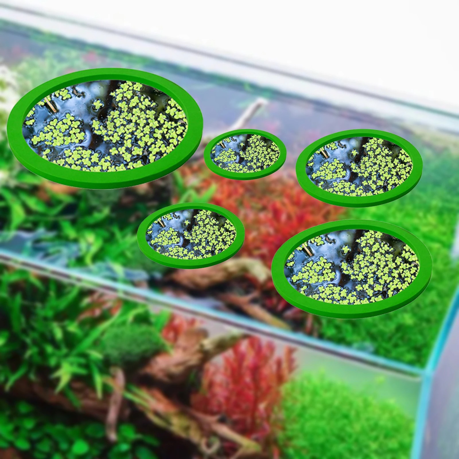 5 adet EVA balık besleme halka - Aquaponics Fish Tank incelemesi ve fiyatı