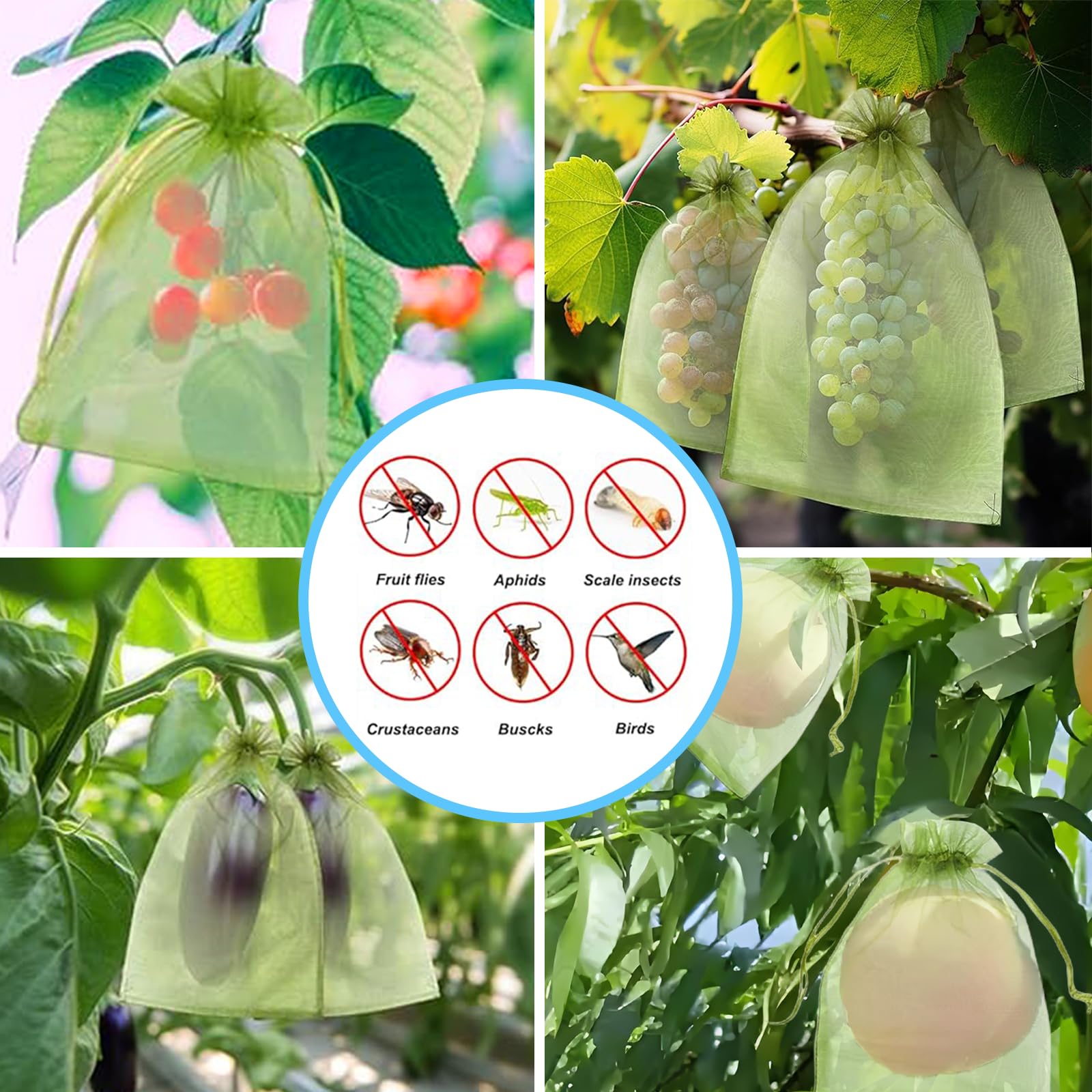 Etkili Kuş Önleyici File Çanta - Garden Netting Cover incelemesi ve fiyatı