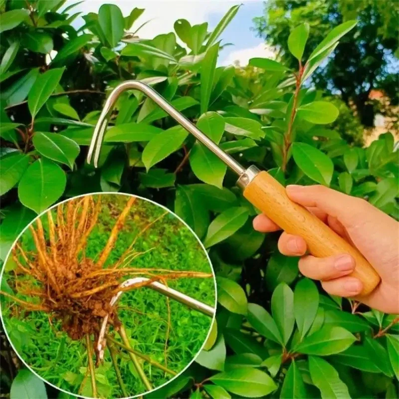 Paslanmaz Çelik Bahçe Weeder M - Weed Puller incelemesi ve fiyatı