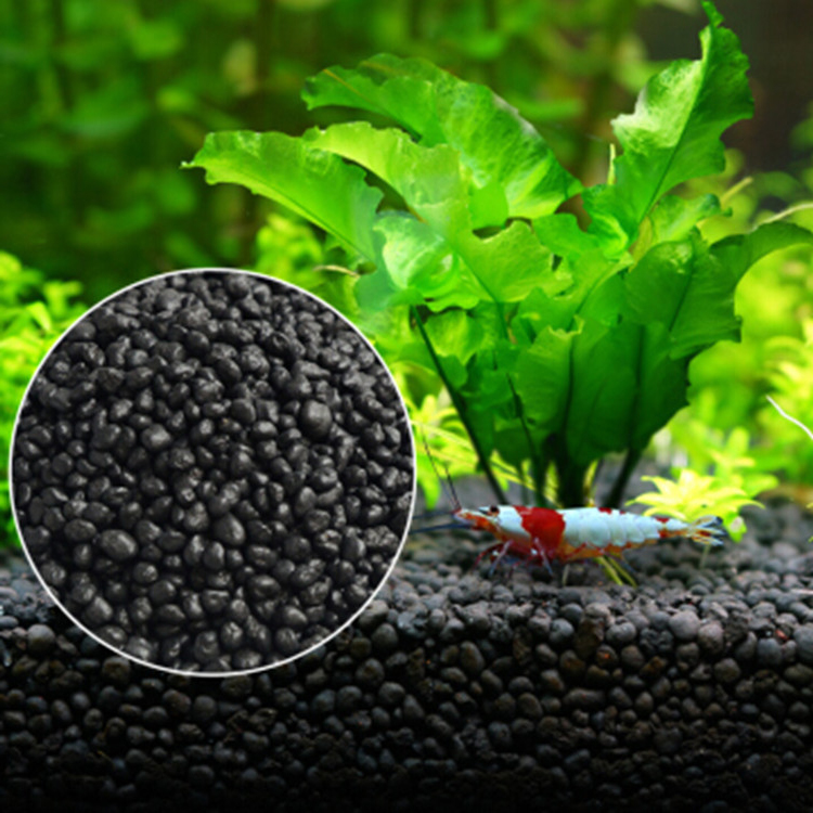 Akvaryum bitki tohumları topra - Aquaponics Fish Tank incelemesi ve fiyatı