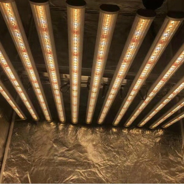 LUX Çin Fabrikası Led Bitki Ay - Led Grow Light incelemesi ve fiyatı