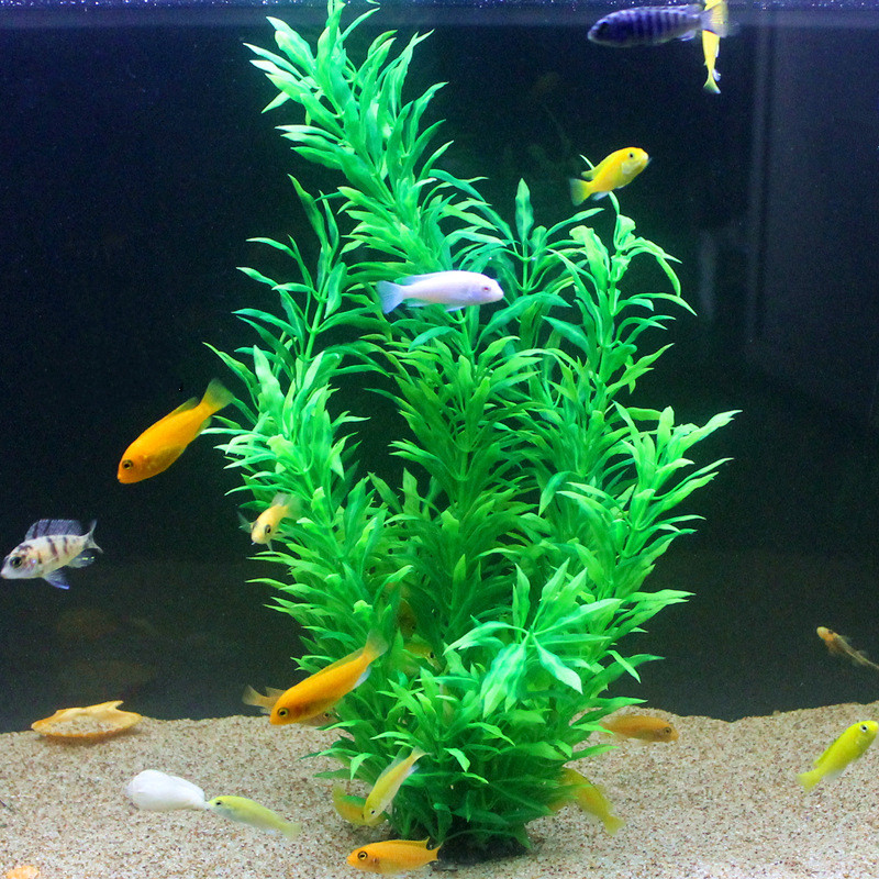 50 CM Yapay Balık Tankı Nadir  - Aquaponics Fish Tank incelemesi ve fiyatı