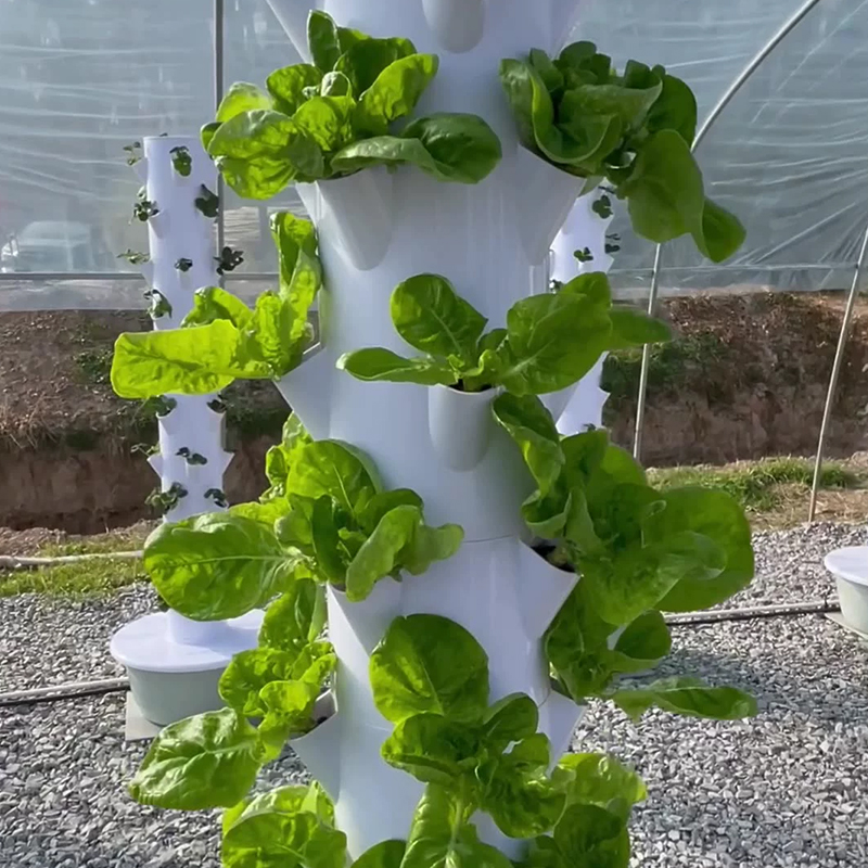 Led Büyümek Işık ile Uzay Ağac - Led Grow Light incelemesi ve fiyatı